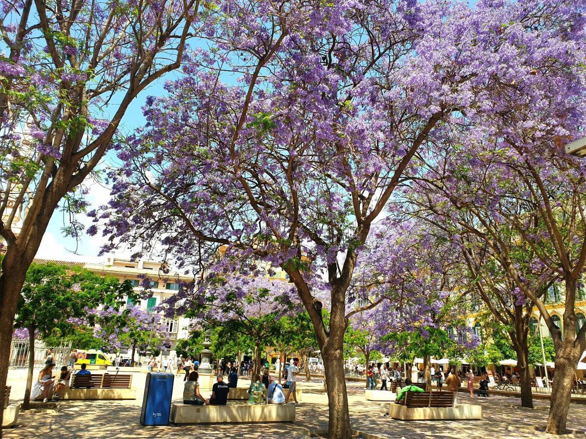 Economical Homes In Center Málaga Dış mekan fotoğraf